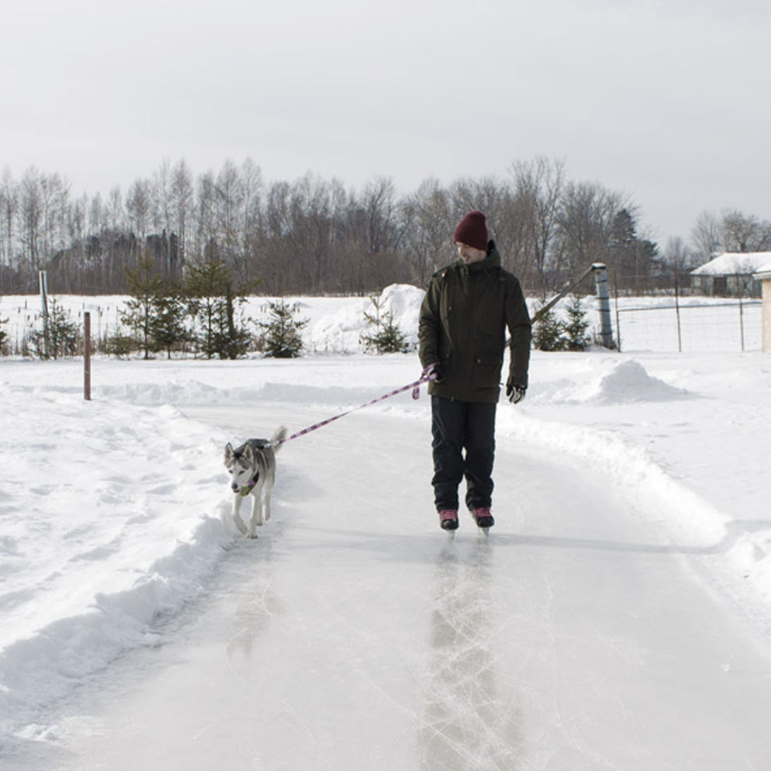 Sentiers glacés - Photo 1