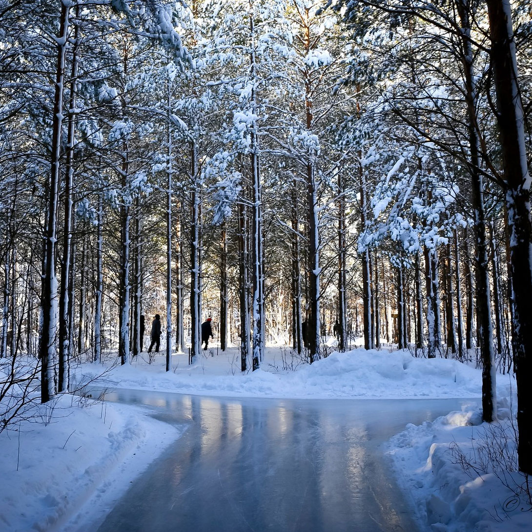 Sentiers glacés - Photo 5